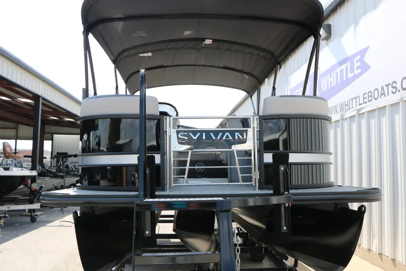 Slide: The Image of Sylvan L3 CLZ DH Tri Toon 2025 - 5