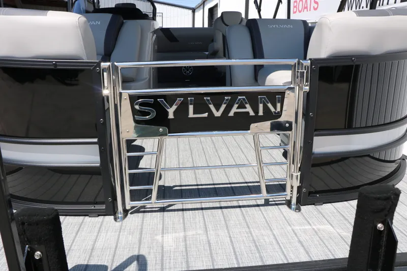 Slide: The Image of Sylvan L3 CLZ DH Tri Toon 2025 - 9