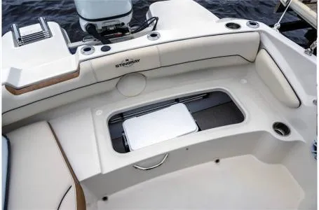 Slide: The Image of Stingray 182 SC 2024 - 16