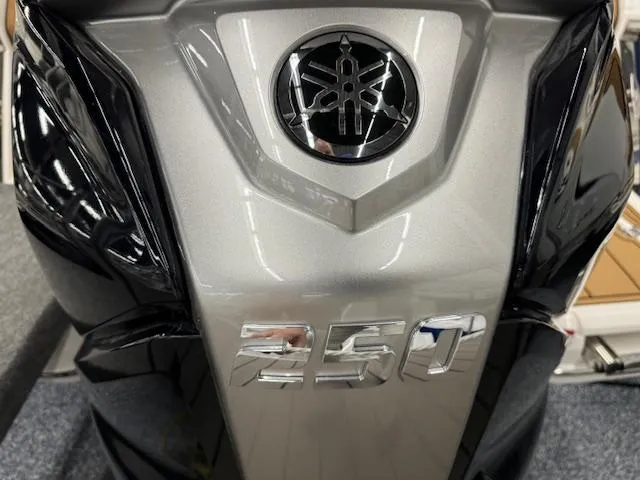 Slide: The Image of Close-up of 2025 Chaparral 250 OSX emblem and logo. - 29