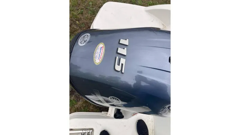Slide: The Image of 2019 Stingray 190 DC boat with 115 HP outboard motor. - 9