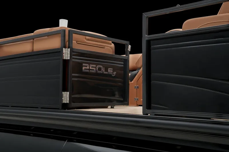 Slide: The Image of Regency 250 LE3 2024 - 24