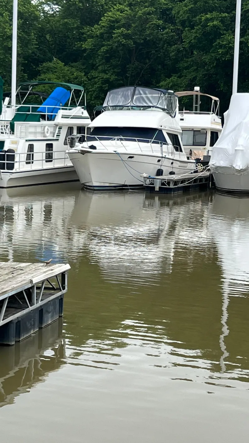 Slide: The Image of Bayliner 3988 Motoryacht 1999 - 75