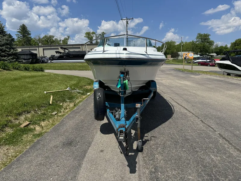 Slide: The Image of Image 3 - 3