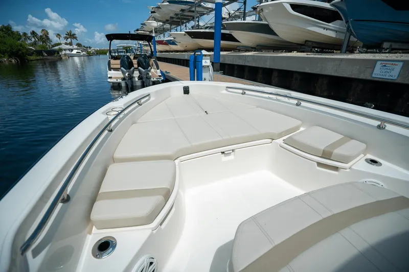 Slide: The Image of Boston Whaler 250 Dauntless 2025 - 13
