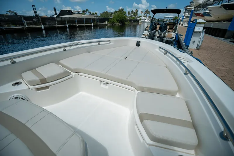 Slide: The Image of Boston Whaler 250 Dauntless 2025 - 14