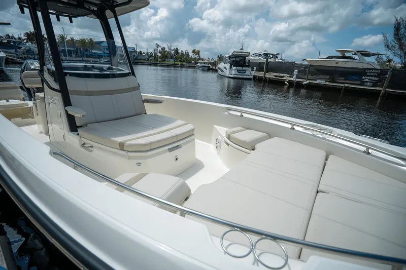 Slide: The Image of Boston Whaler 250 Dauntless 2025 - 15