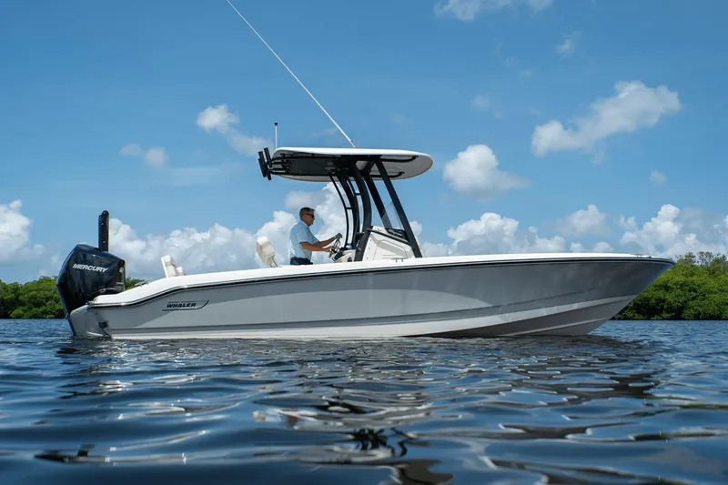 Slide: The Image of Boston Whaler 250 Dauntless 2025 - 16