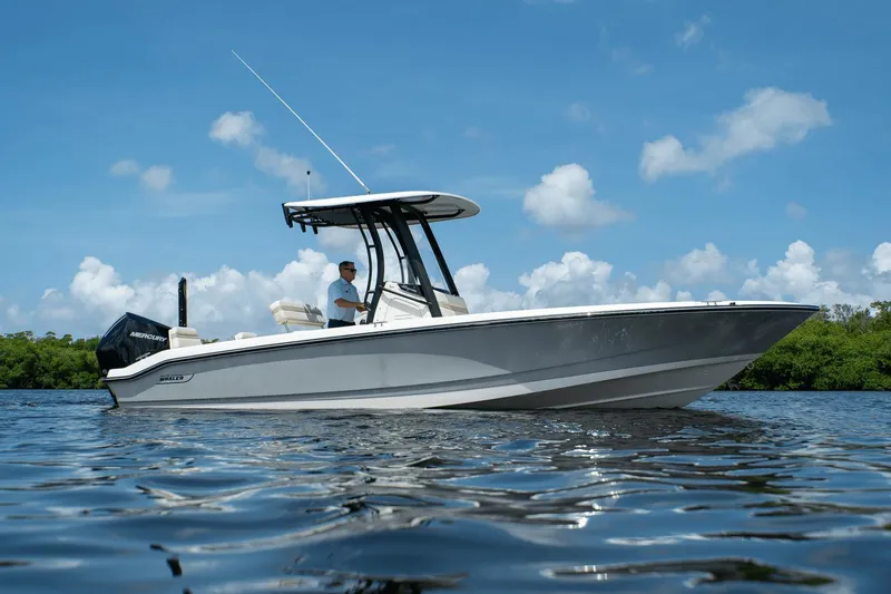 Slide: The Image of Boston Whaler 250 Dauntless 2025 - 17