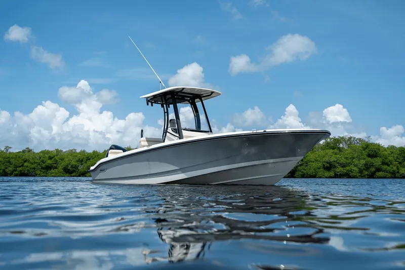 Slide: The Image of Boston Whaler 250 Dauntless 2025 - 18