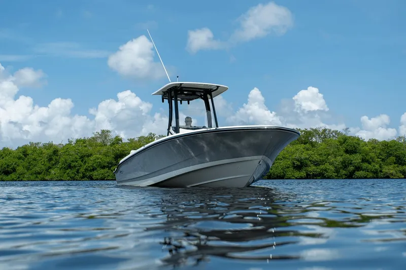 Slide: The Image of Boston Whaler 250 Dauntless 2025 - 19