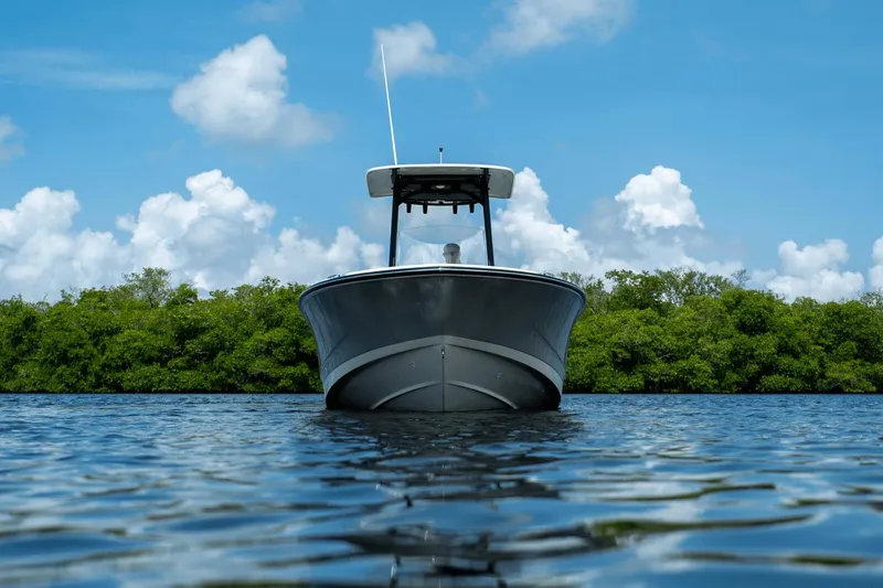 Slide: The Image of Boston Whaler 250 Dauntless 2025 - 20