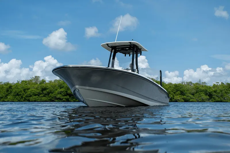 Slide: The Image of Boston Whaler 250 Dauntless 2025 - 21
