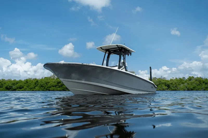 Slide: The Image of Boston Whaler 250 Dauntless 2025 - 22