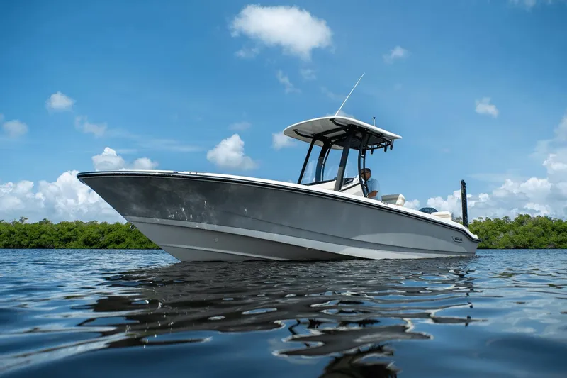 Slide: The Image of Boston Whaler 250 Dauntless 2025 - 23