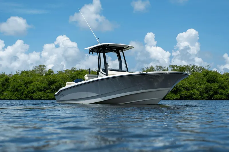 Slide: The Image of Boston Whaler 250 Dauntless 2025 - 24
