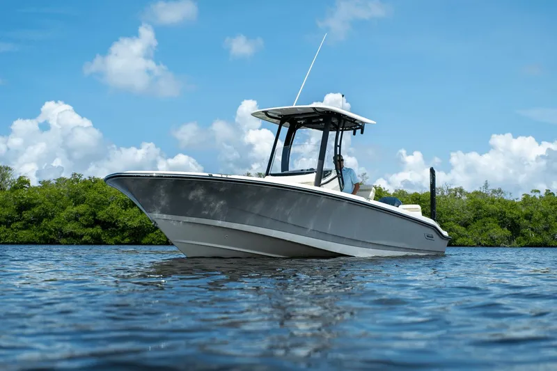 Slide: The Image of Boston Whaler 250 Dauntless 2025 - 25
