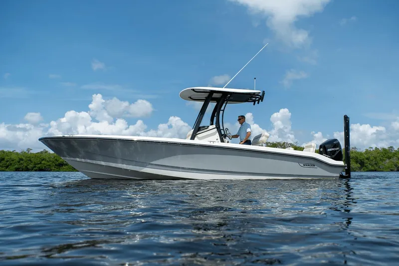 Slide: The Image of Boston Whaler 250 Dauntless 2025 - 26