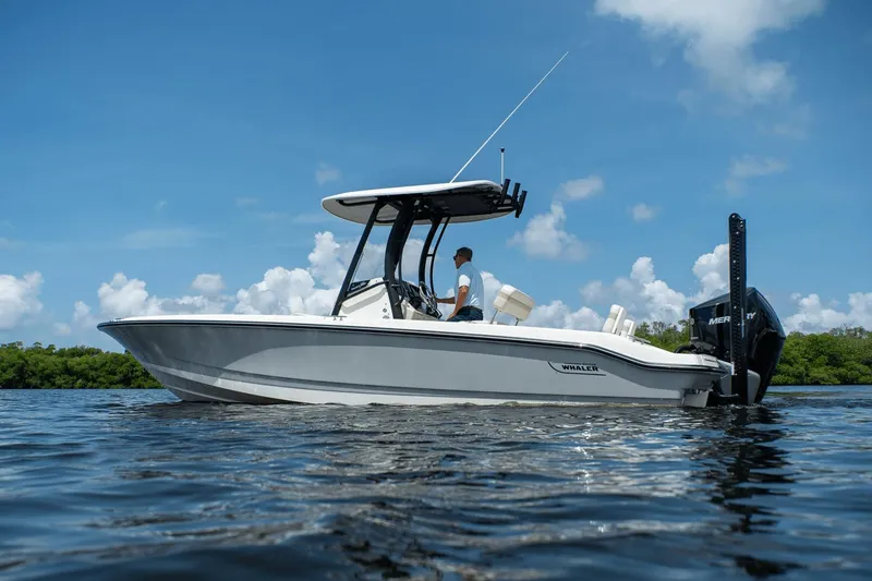 Slide: The Image of Boston Whaler 250 Dauntless 2025 - 27