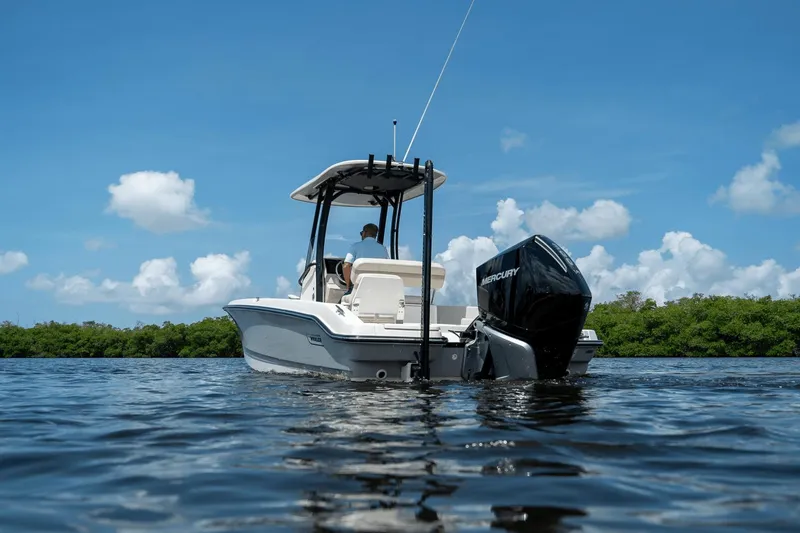 Slide: The Image of Boston Whaler 250 Dauntless 2025 - 28