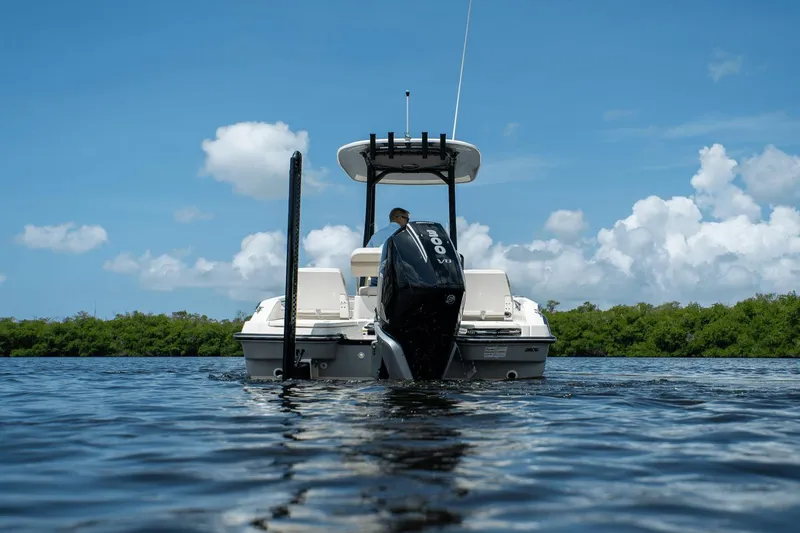 Slide: The Image of Boston Whaler 250 Dauntless 2025 - 29