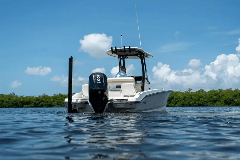 Slide: The Image of Boston Whaler 250 Dauntless 2025 - 30