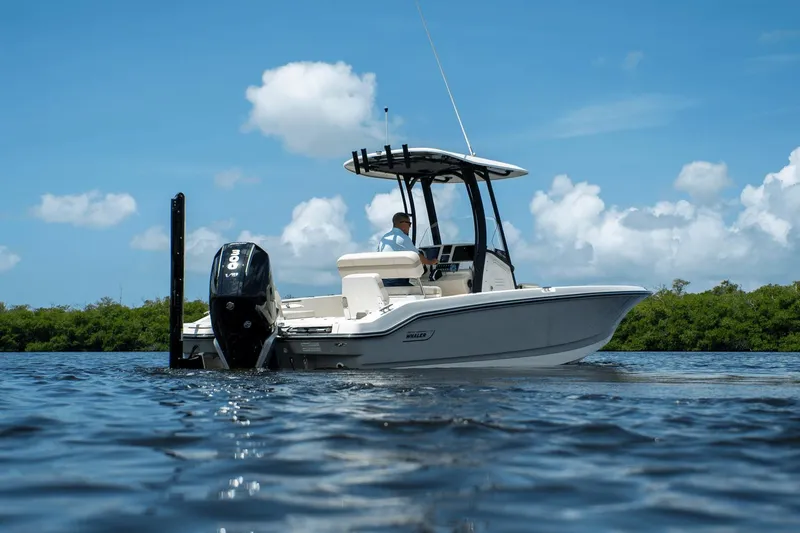 Slide: The Image of Boston Whaler 250 Dauntless 2025 - 31