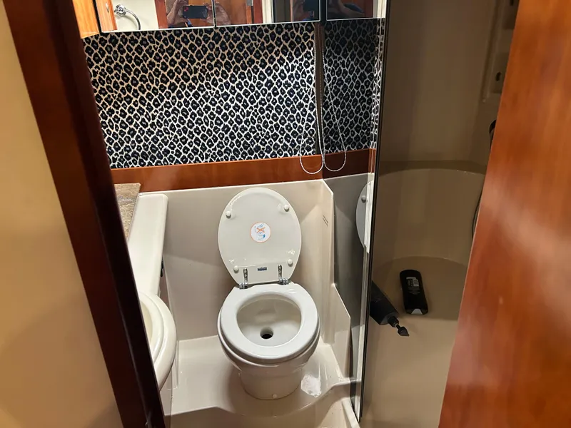 Slide: The Image of 2009 Cruisers 390 Sportcoupe bathroom with toilet, patterned wall, and shower area. - 25