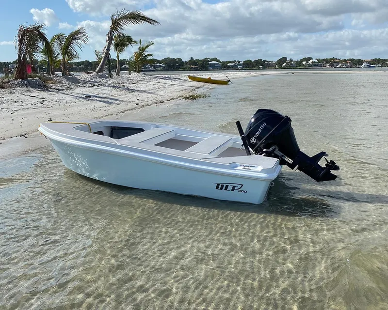 Slide: The Image of Rigged with Tiller steered outboard - 0