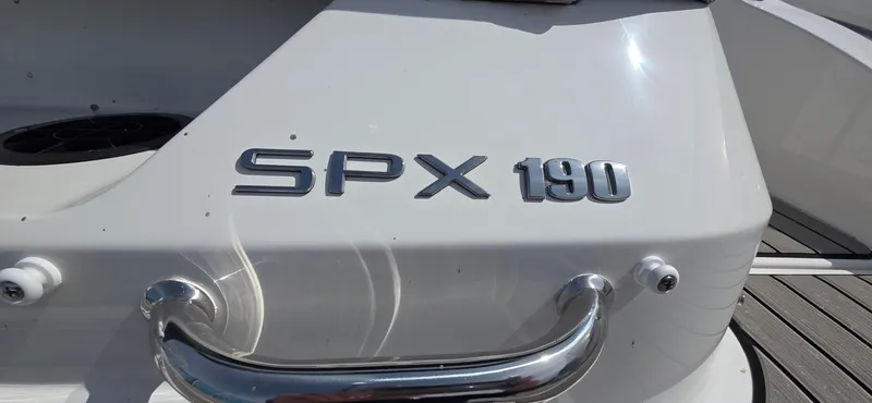 Slide: The Image of 2025 Sea Ray SPX 190 boat with chrome lettering and handle. - 4