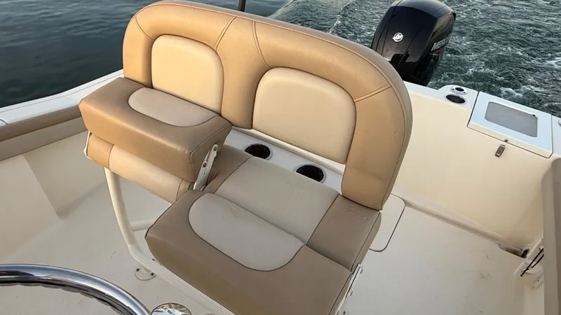 Slide: The Image of Scout 215 XSF 2021 - 65