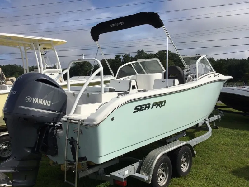 Slide: The Image of Sea Pro 240 Dual Console 2024 - 11