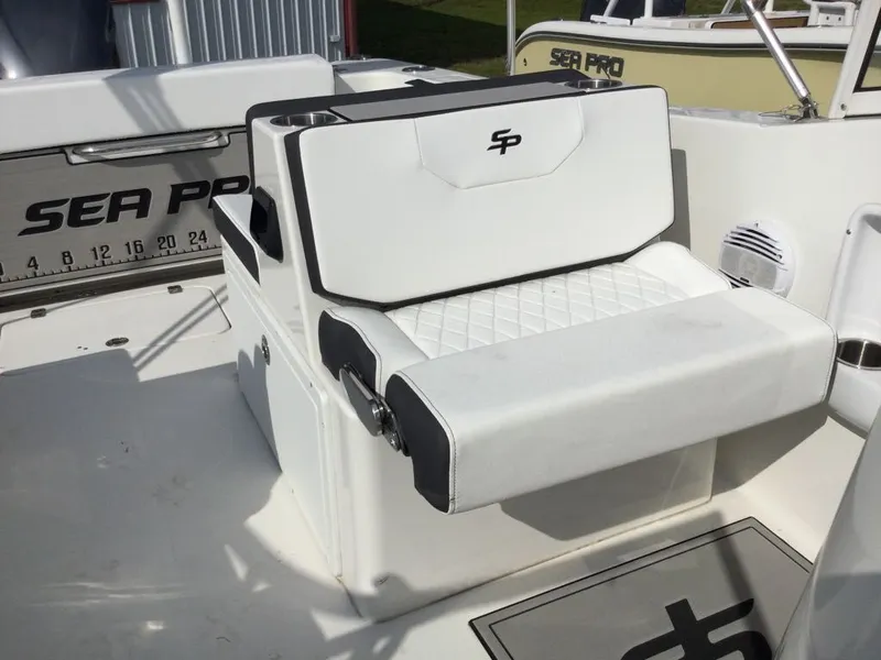 Slide: The Image of Sea Pro 240 Dual Console 2024 - 18