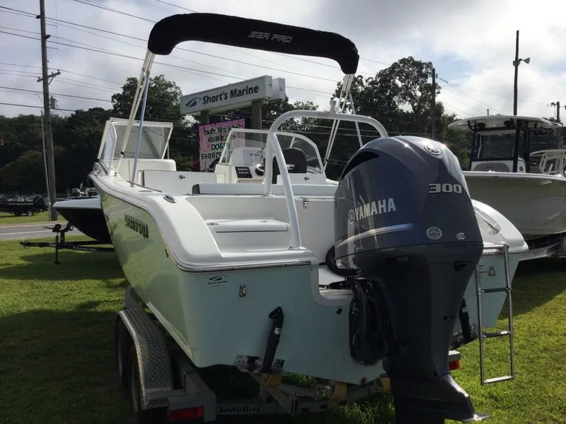 Slide: The Image of Sea Pro 240 Dual Console 2024 - 21