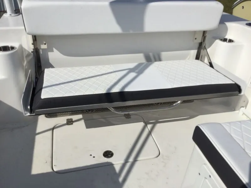 Slide: The Image of Sea Pro 240 Dual Console 2024 - 5