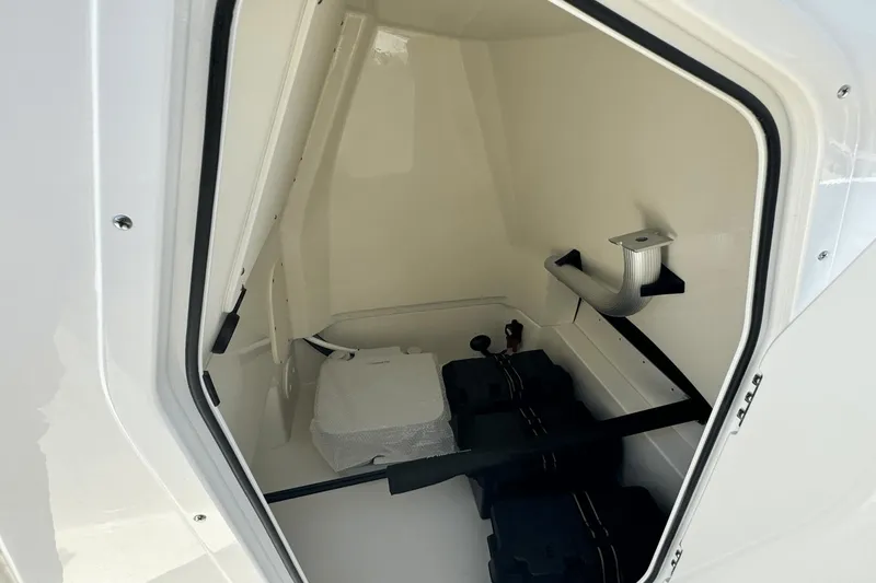 Slide: The Image of Boston Whaler 250 Dauntless 2025 - 11