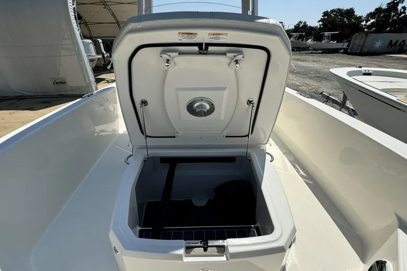 Slide: The Image of Boston Whaler 250 Dauntless 2025 - 13