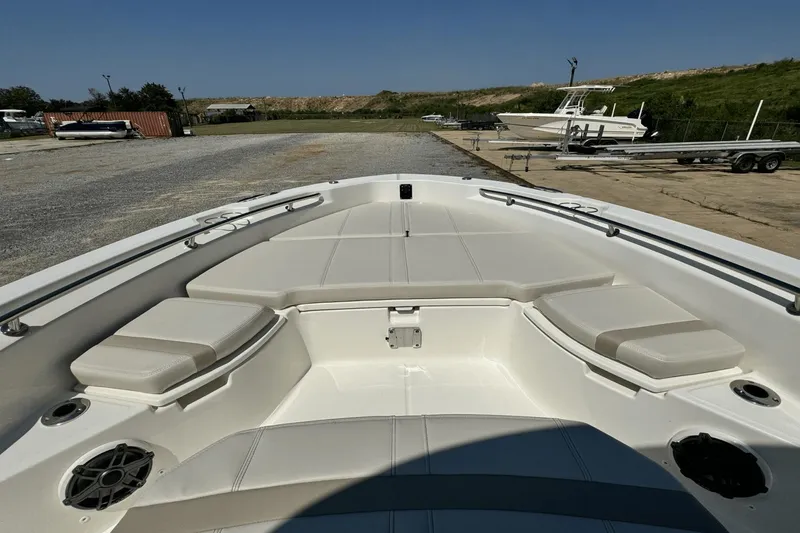 Slide: The Image of Boston Whaler 250 Dauntless 2025 - 14