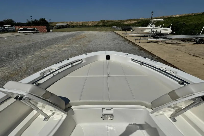 Slide: The Image of Boston Whaler 250 Dauntless 2025 - 15