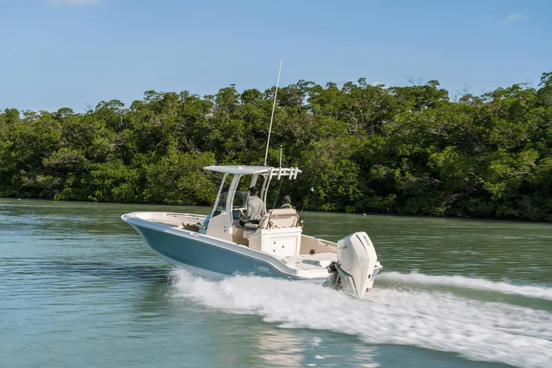 Slide: The Image of Boston Whaler 250 Dauntless 2025 - 31