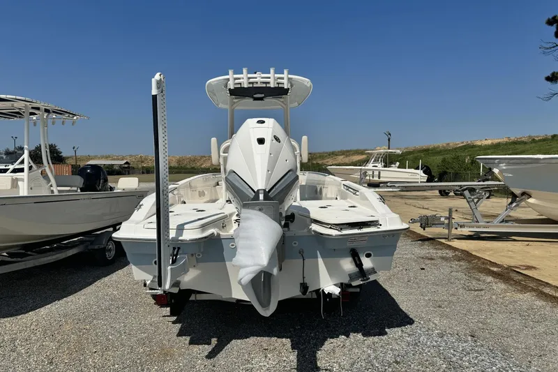 Slide: The Image of Boston Whaler 250 Dauntless 2025 - 4