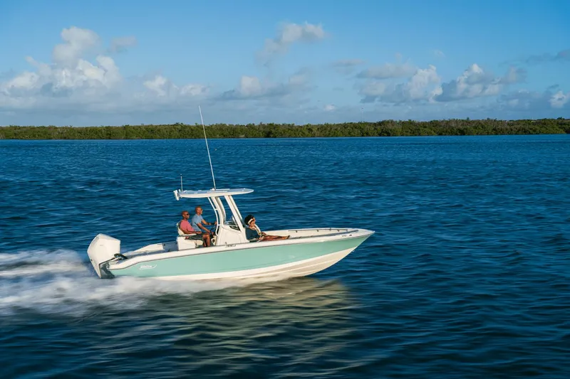 Slide: The Image of Boston Whaler 250 Dauntless 2025 - 43