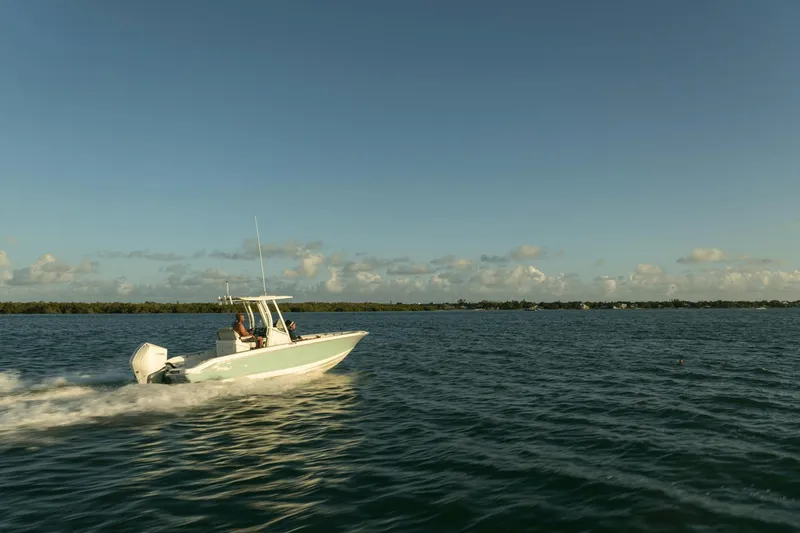 Slide: The Image of Boston Whaler 250 Dauntless 2025 - 51