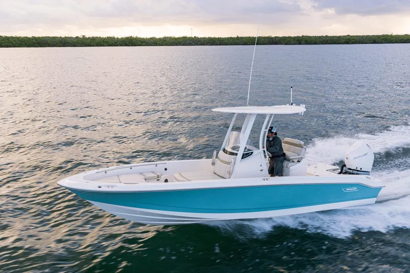 Slide: The Image of Boston Whaler 250 Dauntless 2025 - 54
