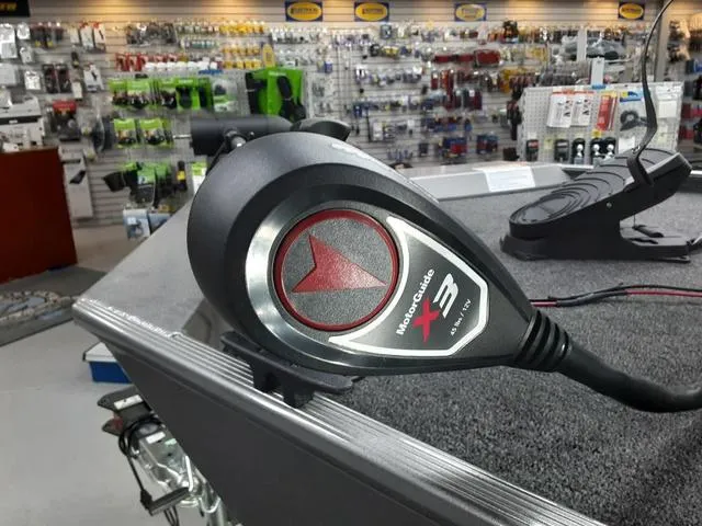 Slide: The Image of Lowe Skorpion 16 2024 - 4