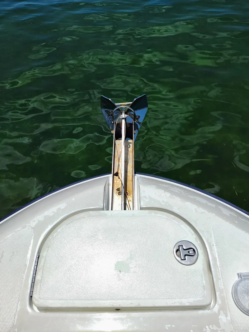 Slide: The Image of 2008 Hydra-Sports Vector 2900 CC boat anchor in clear green water. - 16