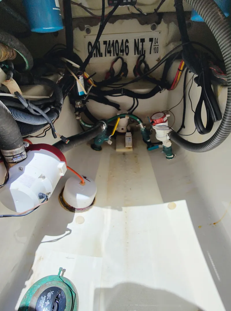 Slide: The Image of Hydra-Sports Vector 2900 CC 2008 - 52