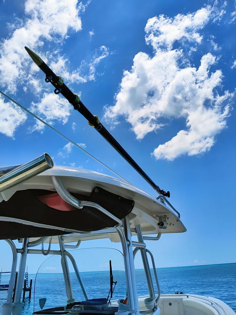 Slide: The Image of Hydra-Sports Vector 2900 CC 2008 - 56