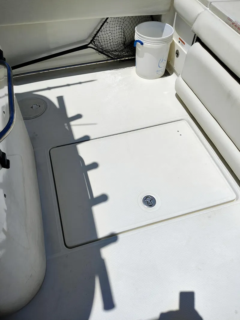 Slide: The Image of Hydra-Sports Vector 2900 CC 2008 - 63