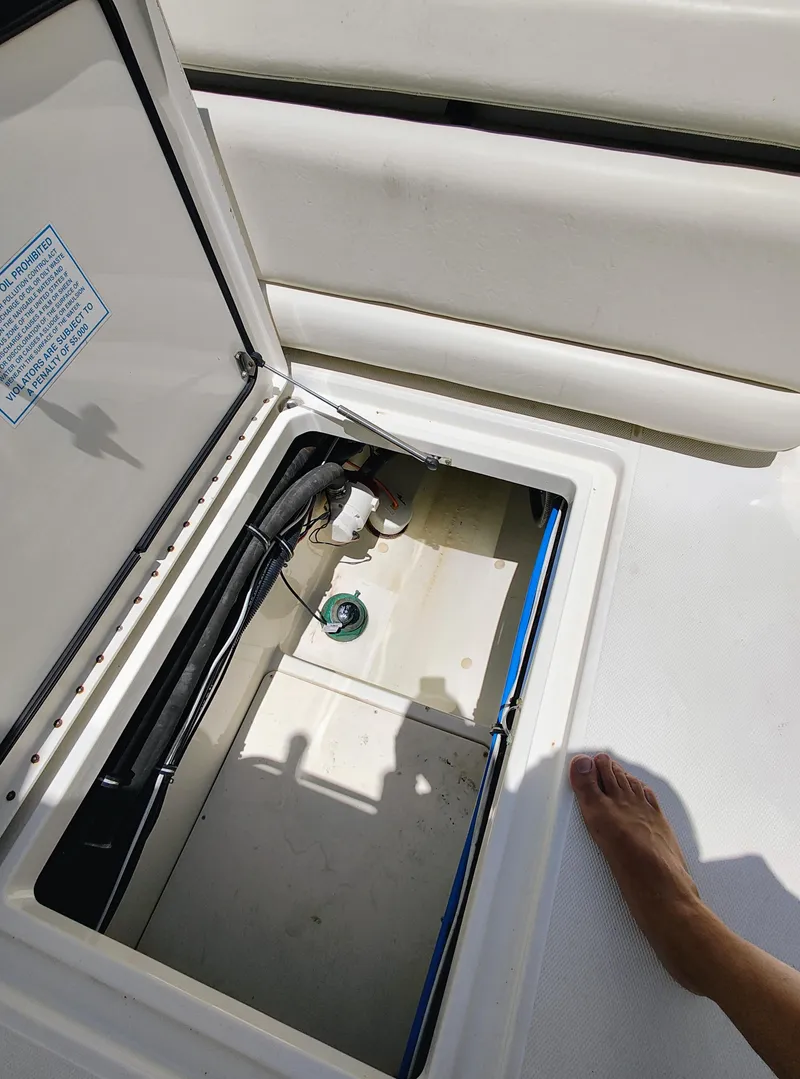 Slide: The Image of Hydra-Sports Vector 2900 CC 2008 - 65